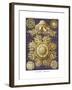 Discomedusae, 1899-1904-null-Framed Giclee Print