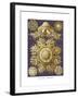 Discomedusae, 1899-1904-null-Framed Giclee Print