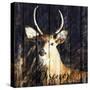 Discover the Beauty-Andi Metz-Stretched Canvas