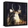 Discover the Beauty-Andi Metz-Framed Stretched Canvas