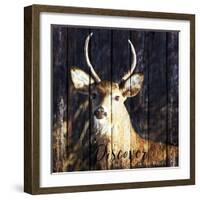 Discover the Beauty-Andi Metz-Framed Art Print