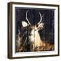 Discover the Beauty-Andi Metz-Framed Art Print