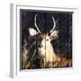 Discover the Beauty-Andi Metz-Framed Art Print