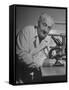 Discoverer of Vitamin C Albert Szent-Gyorgyi, Working with His Microscope-null-Framed Stretched Canvas