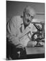 Discoverer of Vitamin C Albert Szent-Gyorgyi, Working with His Microscope-null-Mounted Photographic Print