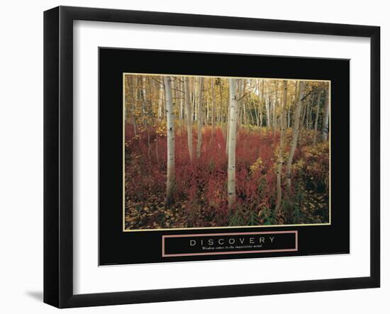 Discovery - Aspen Trees-Unknown Unknown-Framed Photo