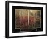 Discovery - Aspen Trees-Unknown Unknown-Framed Photo