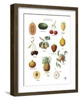 Discovery Charts - Fruit-The Vintage Collection-Framed Giclee Print