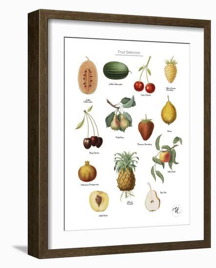 Discovery Charts - Fruit-The Vintage Collection-Framed Giclee Print