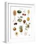 Discovery Charts - Fruit-The Vintage Collection-Framed Giclee Print