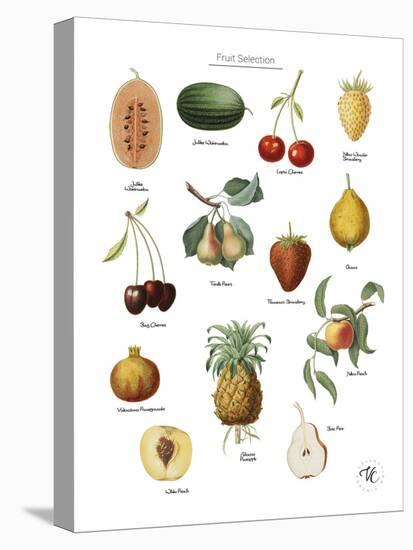 Discovery Charts - Fruit-The Vintage Collection-Stretched Canvas