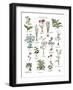 Discovery Charts - Plant-The Vintage Collection-Framed Giclee Print