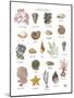 Discovery Charts - Seabed-The Vintage Collection-Mounted Giclee Print