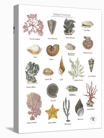 Discovery Charts - Seabed-The Vintage Collection-Stretched Canvas