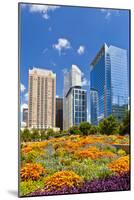 Discovery Green, Houston, Texas, United States of America, North America,-Kav Dadfar-Mounted Photographic Print