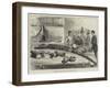 Discovery of Fossil Remains at Leghorn, Tuscany-null-Framed Giclee Print