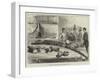 Discovery of Fossil Remains at Leghorn, Tuscany-null-Framed Giclee Print