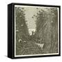 Discovery of Lake Nyassa-null-Framed Stretched Canvas