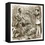 Discovery of Nat Turner-null-Framed Stretched Canvas