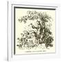 Discovery of the Laws of Gravitation by Isaac Newton-John Leech-Framed Giclee Print