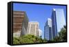 Discovery Park, Houston, Texas, United States of America, North America-Richard Cummins-Framed Stretched Canvas