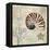 Discovery Shell I-Paul Brent-Framed Stretched Canvas