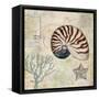 Discovery Shell I-Paul Brent-Framed Stretched Canvas