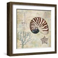 Discovery Shell I-Paul Brent-Framed Art Print