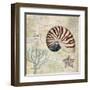 Discovery Shell I-Paul Brent-Framed Art Print