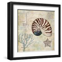 Discovery Shell I-Paul Brent-Framed Art Print