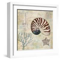 Discovery Shell I-Paul Brent-Framed Art Print