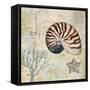 Discovery Shell I-Paul Brent-Framed Stretched Canvas
