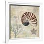 Discovery Shell I-Paul Brent-Framed Art Print