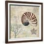 Discovery Shell I-Paul Brent-Framed Art Print