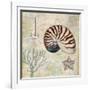 Discovery Shell I-Paul Brent-Framed Art Print