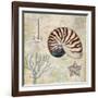 Discovery Shell I-Paul Brent-Framed Art Print