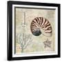 Discovery Shell I-Paul Brent-Framed Art Print