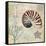 Discovery Shell I-Paul Brent-Framed Stretched Canvas