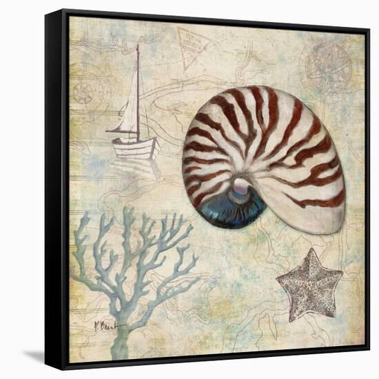 Discovery Shell I-Paul Brent-Framed Stretched Canvas