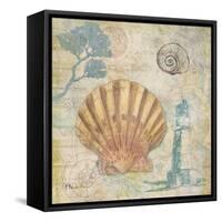 Discovery Shell II-Paul Brent-Framed Stretched Canvas