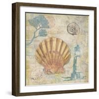 Discovery Shell II-Paul Brent-Framed Art Print