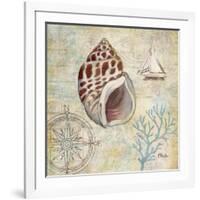 Discovery Shell IV-Paul Brent-Framed Art Print