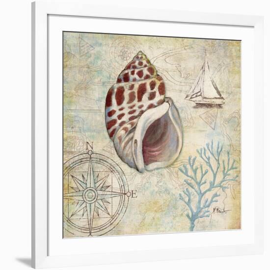 Discovery Shell IV-Paul Brent-Framed Art Print