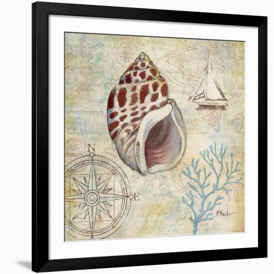 Discovery Shell IV-Paul Brent-Framed Art Print