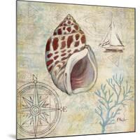 Discovery Shell IV-Paul Brent-Mounted Art Print