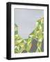 Discovery-Jaime Derringer-Framed Art Print