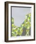 Discovery-Jaime Derringer-Framed Premium Giclee Print