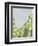 Discovery-Jaime Derringer-Framed Premium Giclee Print