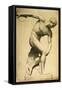 Discus Thrower, Drawing of a Classical Sculpture, C.1874-Evelyn De Morgan-Framed Stretched Canvas