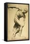 Discus Thrower, Drawing of a Classical Sculpture, C.1874-Evelyn De Morgan-Framed Stretched Canvas